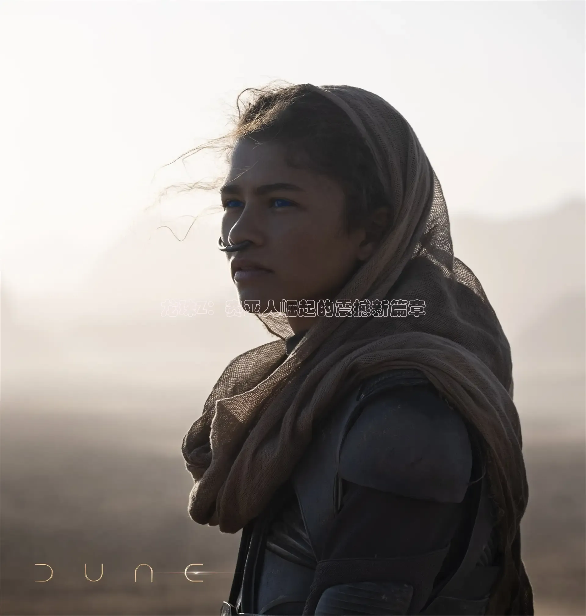 窝窝影院在线播放免费高清电视剧